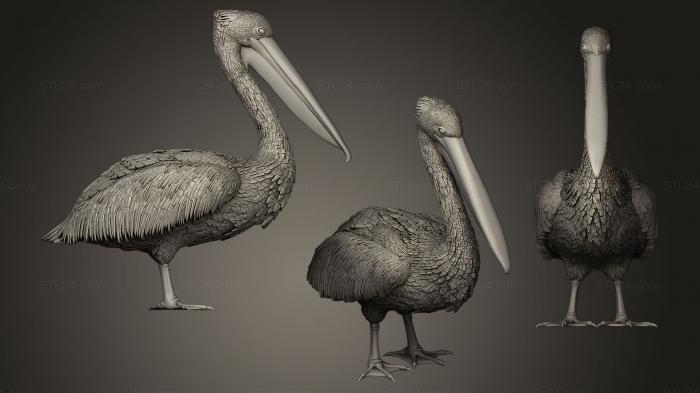 Bird figurines (pelican5, STKB_0062) 3D models for cnc